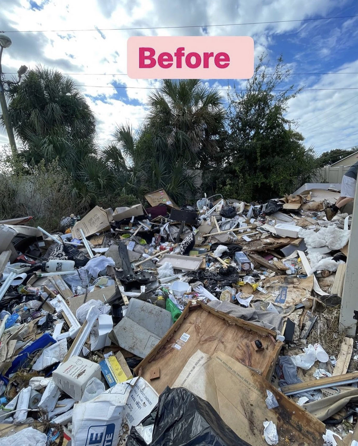 Elephants Dumpster Rental Junk removal f3