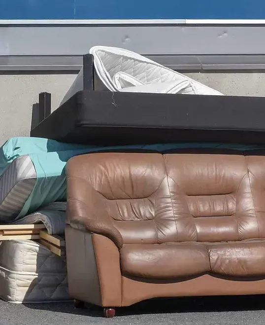 Elephants Dumpster Rental Junk Removal
