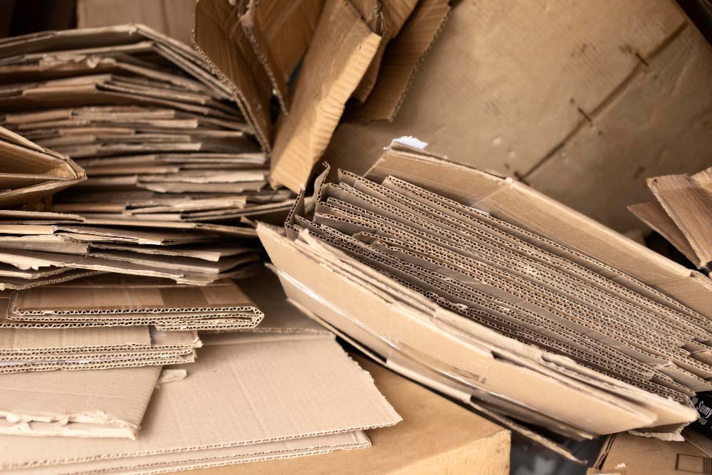 Elephants Dumpster Rental Junk Removal